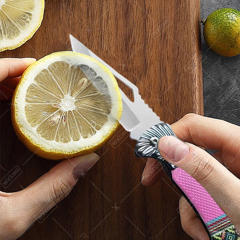 WXCOO Folding Knife Stainless  – обзор и цена Kitchen Handy Gadgets